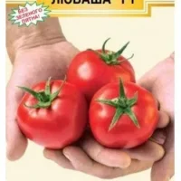 Томат Любаша ультраранний F1» ® (8 шт)