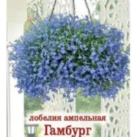 Лобелия ампельная «Гамбург» (0,1гр)