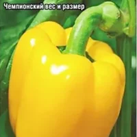 Перец Золотой формат 15 шт, Сибирский сад