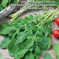 Рукола Ореховая, 0.03 гр, Уральский дачник