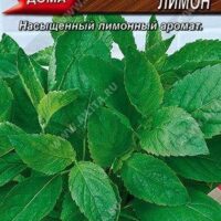 Базилик овощной Американский лимон, 0.3 гр, Аэлита