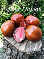 Томат Сердце Марши 5 шт — изображение 2