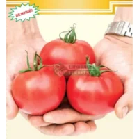 Томат Герцогиня Вкуса, F1, 10 шт, Евросемена