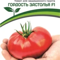 Томат Гордость Застолья, 10 шт, Партнер