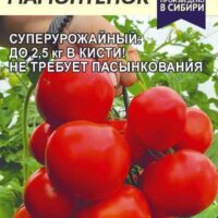 Томат Мамонтенок 5 шт Семена Алтая