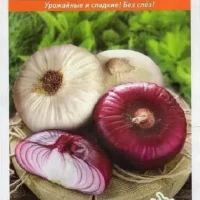 Лук репчатый Ялта смесь 0,2гр