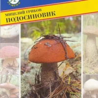 Мицелий подосиновика от Престиж. Шляпка ярко-красная до 15 см, ножка до 15 см с чешуйками. Высаживать под осиной. Плодоносит 3–5 лет.