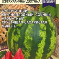 АРБУЗ СРД-2 (ДЮТИНА) 1 ГР.