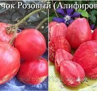 ТОМАТ Бычок розовый сорт 6 семки