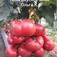 Томат ГНОМ Вкусное вино 8семян
