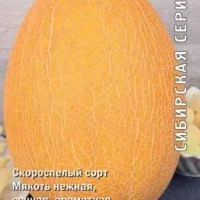 Дыня Алтайская 15 шт