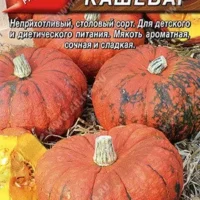 Тыква крупноплодная Кашевар 2 грамм