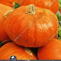 Тыква крупноплодная Оранжевое варенье 2 грамм