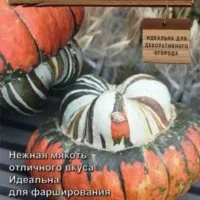 Тыква крупноплодная Турецкая чалма 5шт