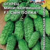 ОГУРЕЦ Сын полка F1 (пикули, корнишоны) 0,3грамма