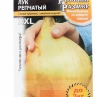 Лук репчатый Русский размер