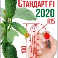 Огурец Стандарт F1 2020 (8шт)