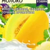 ДЫНЯ ПТИЧЬЕ МОЛОКО/СЕМ АЛТ/ЦП 1 ГР.