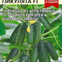 ОГУРЕЦ РЕБЯТА-ПИКУЛЯТА F1/СЕМ АЛТ/ЦП 5 ШТ.