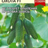 ОГУРЕЦ ЦАРСКАЯ ОХОТА F1/СЕМ АЛТ/ЦП 6 ШТ.
