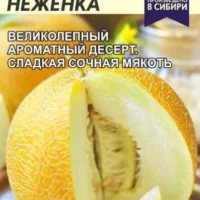 Дыня Сладкая Неженка/Сем Алт/цп 1 гр.