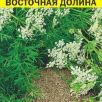 Кумин (Зира) Восточная Долина/Сем Алт/цп 1 гр.