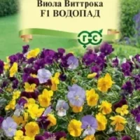 Виола Водопад F1, ампельная Виттрока (Анютины глазки), смесь, 4шт