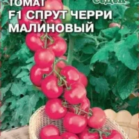Томат Спрут черри малиновый F1 0,03гр