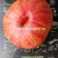 Томат Гном Конфетти 10шт