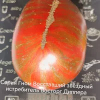 Томат Гном Восставший звездный истребитель Восторг Диппера 10шт