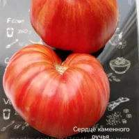 Томат Гном Сердце Каменного ручья 10шт