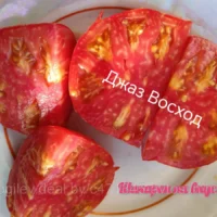 Томат Джаз Восход (SUNRISE JAZZ) 10 шт