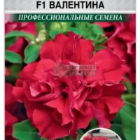 Петуния Махровая Валентина F1 (10драже)
