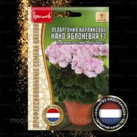 Пеларгония карликовая Нано Яблоневая F1 3шт