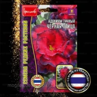 Адениум тучный Черная птица 3семки