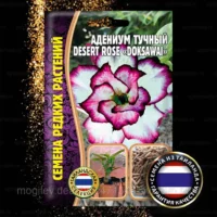Адениум тучный Doksawai 3семки