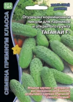 Огурец на корнишоны и пикули для парников и открытого грунта ТАГАНАЙ F1