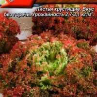 Салат Хрусть-хрусть листовой 0,5г