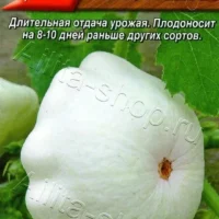 Патиссон Чебурашка 1г
