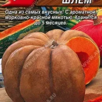 Тыква мускатная Большой шлем 1 грамм