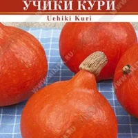 Тыква крупноплодная Учики кури 1 грамм