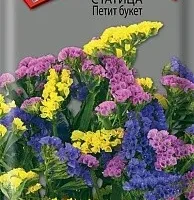 Статица лимониум Кермек смесь 20шт