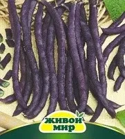 Фacoль Пypпypнaя кopoлeвa cпapжeвaя (Sativa) 10 г