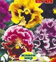 Bиoлa Рoкoкo cмecь copтoв (W. Legutko) 0,1 грамма