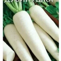 Дайкон Дубинушка, 1,0г, Гавриш,