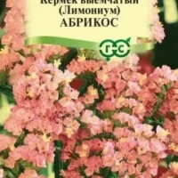 Статица Лимониум (кермек выемчатый) Абрикос, 0,05г, Гавриш
