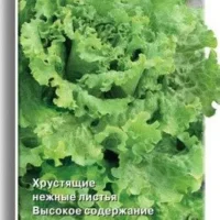 Салат Азарт (1грамм)