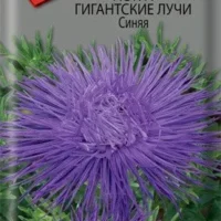 Астра Гигантские лучи Синяя 0,3гр