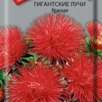 Астра Гигантские лучи Красная 0,3гр