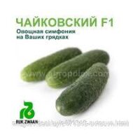 Огурцы Чайковский F1 (6шт)